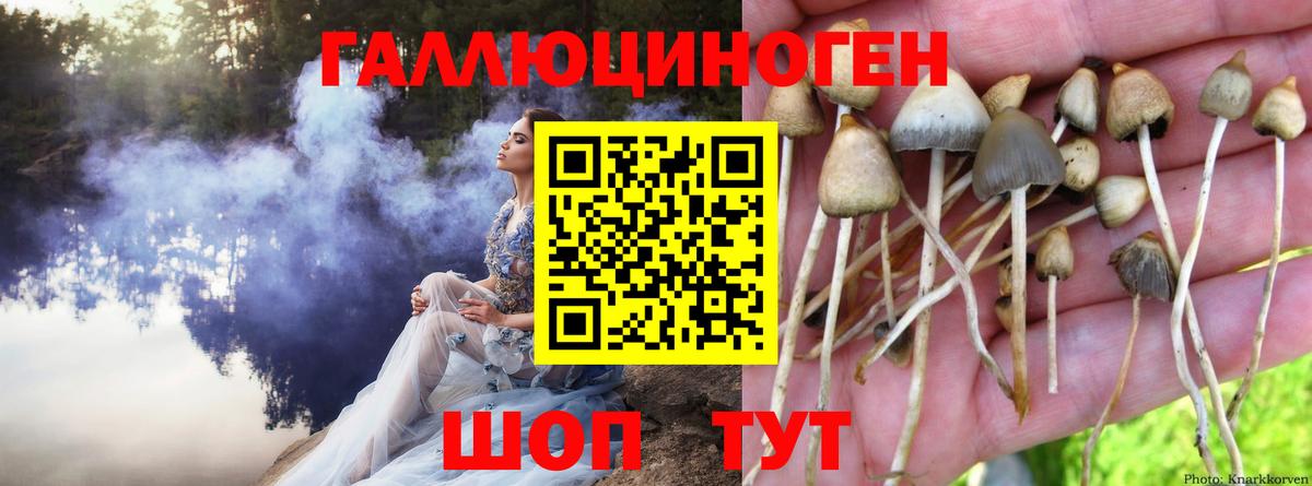 Псилоцибиновые грибы GOLDEN TEACHER Кумертау